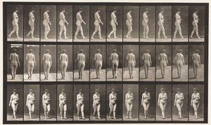 プレート18。ウォーキング、腹部を横切る左手、1872〜1885 作： Eadweard Muybridge