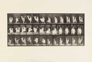 プレート193.ダンス（ファンシー） 作： Eadweard Muybridge