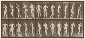 プレートNo.195ダンシングワルツ 作： Eadweard Muybridge