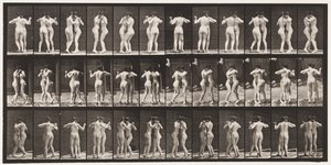 プレート196。ダンスワルツ、2つのモデル 作： Eadweard Muybridge