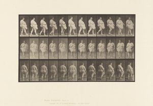 プレート19ウォーキング、振り向き始め 作： Eadweard Muybridge
