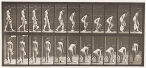 プレート202。ハンカチを落としたり持ち上げたりする 作： Eadweard Muybridge