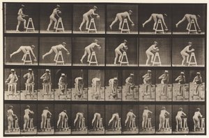 プレート203。水筒で架台を曲げる 作： Eadweard Muybridge