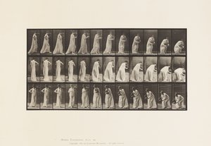 プレート205.花瓶を持ち歩き、かがむ、1885 作： Eadweard Muybridge