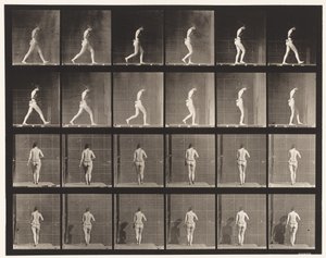 プレート20.ウォーキング、右肘の曲がり 作： Eadweard Muybridge