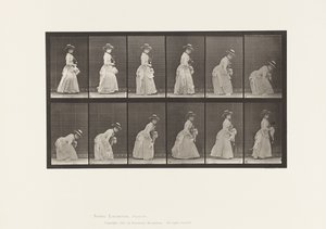 プレート211.屈むと持ち上げるハンカチ、左手にパラソル、1885 作： Eadweard Muybridge