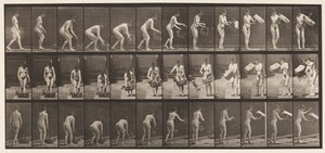 プレート213。バスケットを持ち上げて空にする 作： Eadweard Muybridge
