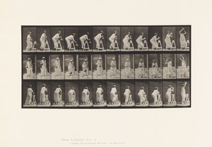 プレート216。腰をかがめて水瓶に水を入れる、水瓶を頭に乗せる 作： Eadweard Muybridge