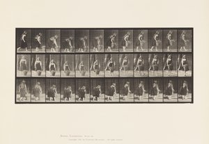プレート217.30ポンドのバスケットをかがめて持ち上げて運ぶ、1885 作： Eadweard Muybridge