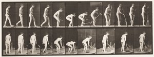 プレート219。ほうきをかがめて持ち上げ、掃除する 作： Eadweard Muybridge