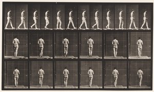 プレート21両肘を曲げて歩く 作： Eadweard Muybridge