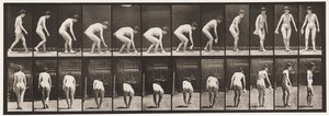 プレート220。ハンカチをかがめて持ち上げ、回転させる 作： Eadweard Muybridge