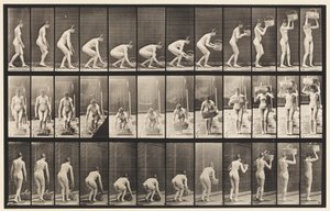 プレート221。12ポンドのバスケットを頭にかがめて持ち上げる 作： Eadweard Muybridge