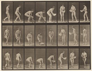 プレート223.洗面器を持ち上げて持ち上げ、拭き取り、回転、1872-1885 作： Eadweard Muybridge