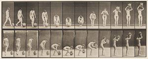 プレート224。水筒を頭にかがめて持ち上げる 作： Eadweard Muybridge