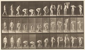 プレート227。地面から布を持ち上げる、1872〜1885 作： Eadweard Muybridge