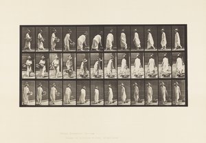 プレート229。バスケットを地面に置いて回す 作： Eadweard Muybridge