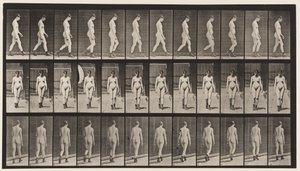 プレート22.ハイヒールのブーツを着用したウォーキング、1872〜1885 作： Eadweard Muybridge