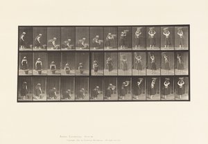 プレート230.地面から頭まで30ポンドのバスケットを持ち上げる、回転、1885 作： Eadweard Muybridge