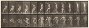 プレート236.Diairの配置とSitting Down、1885 作： Eadweard Muybridge