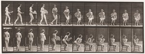 プレート237。1872〜1885年の椅子と開閉用ファンに座る 作： Eadweard Muybridge