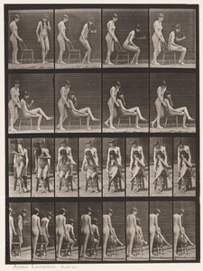プレート239。立っている人、座っている人、足を組んでいる人。 作： Eadweard Muybridge