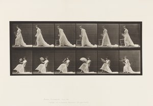 プレート242.椅子を置く、ファンを座っていちゃつく、1885 作： Eadweard Muybridge