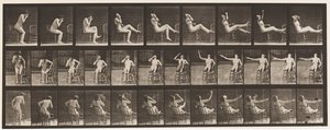 プレート247。椅子に足を置いて座る 作： Eadweard Muybridge