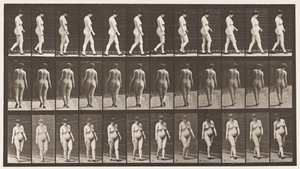 プレート24ハイヒールを履いて歩く 作： Eadweard Muybridge