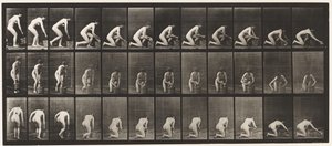 プレート252。右膝にひざまずいて床をこする、1872-1885 作： Eadweard Muybridge