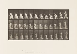 プレート253.ひざまずく肘の椅子、手握り、1885