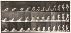 プレート255。ひざまずいて回すことから生じる 作： Eadweard Muybridge