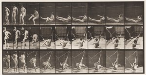 プレート261。Gettinginto Hammock、1872-1885 作： Eadweard Muybridge