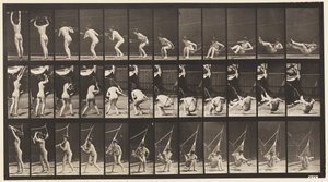 プレート262ハンモックからの脱出 作： Eadweard Muybridge
