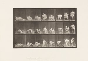 プレート268地上からの復興、1885 作： Eadweard Muybridge
