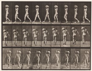 プレート26.歩く、左肩に75ポンドの石を運ぶ 作： Eadweard Muybridge