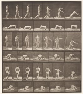 プレート272。つまずきと地面に落ちる。 作： Eadweard Muybridge