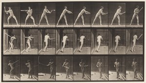 プレート277。野球;バッティング 作： Eadweard Muybridge