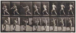 プレート278。野球;バッティング 作： Eadweard Muybridge