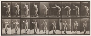 プレート281。野球;キャッチとスロー 作： Eadweard Muybridge