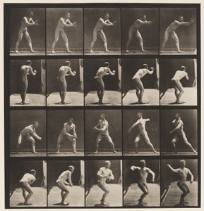 プレート282.Base-ball;捕まえて投げる、1885 作： Eadweard Muybridge