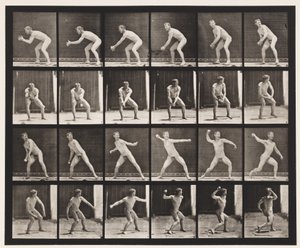 プレート283.Base-ball;捕まえて投げる、1885 作： Eadweard Muybridge