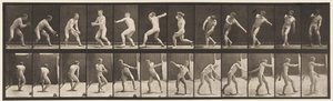 プレート284.Base-ball;捕まえて投げる、1885 作： Eadweard Muybridge