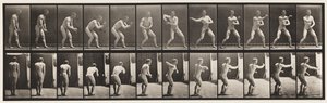 プレート285。野球。キャッチとスロー 作： Eadweard Muybridge