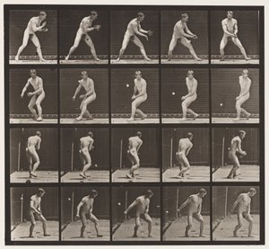 プレート288。野球。エラー 作： Eadweard Muybridge