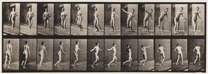 プレート289.クリケット;ラウンドアームボウリング、1885 作： Eadweard Muybridge