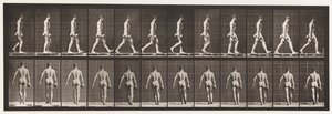 プレート28.ウォーキング、50ポンドのダンベルを右手で運ぶ、1872〜1885 作： Eadweard Muybridge