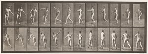 プレート290.クリケット;アームボウリング、1885年 作： Eadweard Muybridge