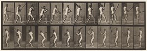 プレート292.クリケット;バッティング;バックアウト、1885 作： Eadweard Muybridge