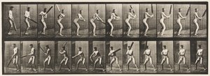 プレート293.クリケット;バッティング;バックカット、1885 作： Eadweard Muybridge